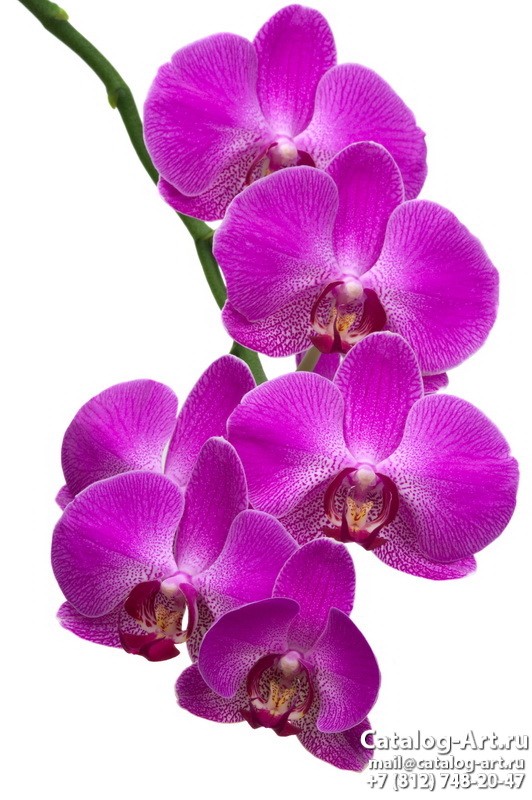 Натяжные потолки с фотопечатью - Розовые орхидеи 20